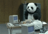 panda_.gif panda_.gif